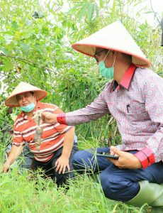 Antisipasi Gagal Panen Dimasa Pandemi COVID-19 Dengan Berburu Tikus