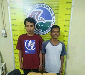 5 Kilogram Ganja Kering Diamankan Polisi Dari Kampung Darek Padangsidimpuan