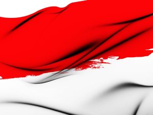 Bendera Merah Putih Dibakar di Lampung  