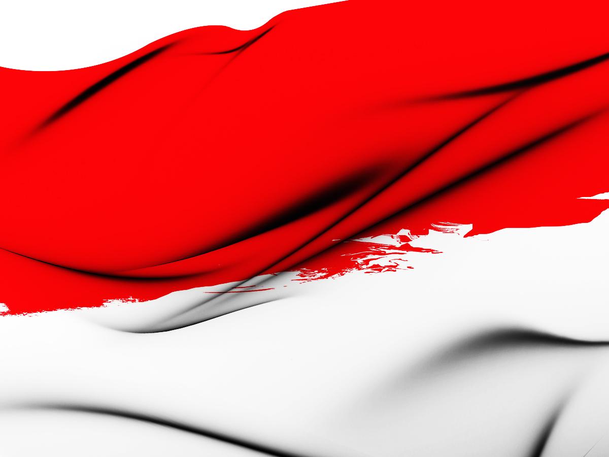 Bendera Merah  Putih  Dibakar di Lampung Lensakini com