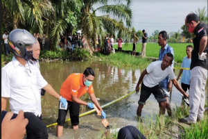 Geger, Mayat Mengambang Ditemukan di Sawah