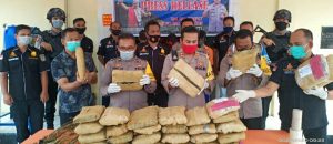 Simpan Ganja 30 Kg, Ibu dan Anak di Madina Ditangkap