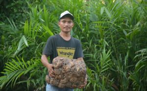 Ini Alasan Toke Getah di Aek Bilah, Tapsel, Pilih Nomor Urut 2: Keluarga Besar Dolly Bersih Dari Korupsi, Rasyid Putra Daerah Harus Dipilih