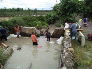 Dilanda Banjir, Sejumlah Jaringan Irigasi di Simalungun Rusak