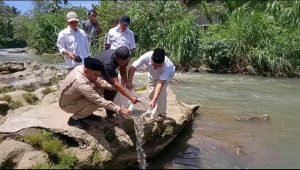 Tabur Puluhan Ribu Bibit Ikan, Rusydi Nasution: Alam Adalah Warisan Leluhur