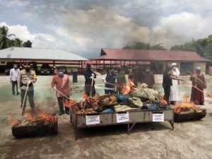 Polres Madina Musnahkan 2,055 Ton Narkotika Jenis Ganja