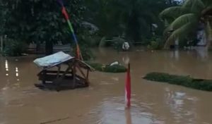 Dua Desa di Mandailing Natal Banjir, Aktivitas Warga Nyaris Lumpuh