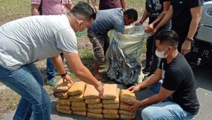 Ditnarkoba Polda Sumut Gagalkan Peredaran Ganja 30 Kg