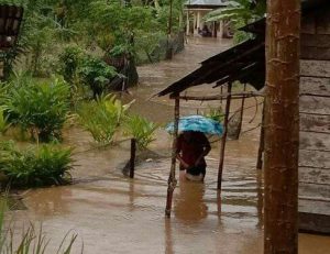 Update Banjir Sidimpuan: Tanaman Warga Rusak