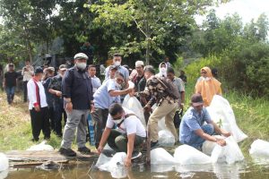 Mendadak Ikan di Danau Siais Tapanuli Selatan Bertambah, Kok Bisa?