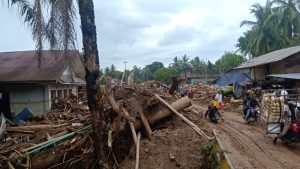 Pasca Banjir Bandang di Padanglawas, Ribuan Kubit Tumpukan Kayu Dibersihkan