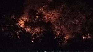 Warga Sedang Berbuka Puasa, Lahan Kosong di Sitamiang Padangsidimpuan Terbakar