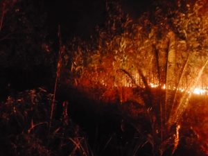 Setelah 1 Jam Lebih, Api yang Membakar Lahan Kosong di Sitamiang Padangsidimpuan, Padam