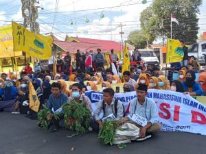 Protes Kenaikan Harga, Puluhan Mahasiswa Bawa Daun Ubi ke Kantor DPRD Padangsidimpuan