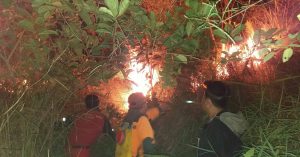 2 Hektar Lahan yang Terbakar di Paluta Dipadamkan