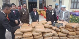 Heboh! 80 Bal Ganja Tak Bertuan Ditemukan di Sosopan Palas