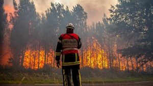 Belasan Orang Ditetapkan Jadi Tersangka Pembakaran Hutan di Sumut