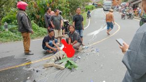 Laka Lantas di Kecamatan Angkola Barat, Tapsel, Satu Tewas