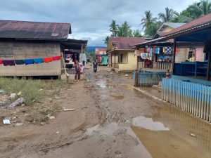 Puluhan Rumah Warga Terendam Banjir di Kecamatan Muara Batang Gadis, Madina, Sudah Surut