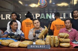 12 Kilogram Ganja Dikirim dari Sidimpuan, Pelaku Dibekuk Polisi