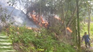 Tiga Hektar Lahan Terbakar di Panyanggar, Kota Padangsidimpuan