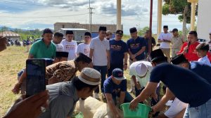 Tak Tanggung-tanggung, Gerindra Tapsel Sebar 13 Ekor Sapi Kurban