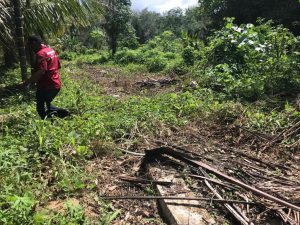 Hanya Ada di Sidimpuan, Bangunan Jalan Ditumbuhi Semak Belukar