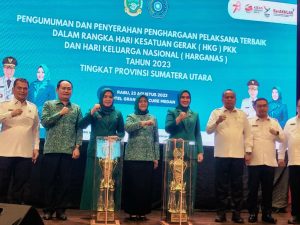 Raih Penghargaan Terbanyak, TP PKK Tapsel Juara Umum