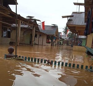 Desa Hutaimbaru Muara Batang Gadis Terendam Banjir, Ini Penyebabnya