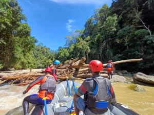 Sisir Sungai Sejauh 4 Km, Korban Hanyut di SDH Tapsel Belum Ditemukan