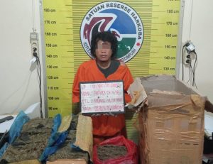 Polisi Gagalkan Pengiriman Paket Ganja Seberat 22,5 Kg di Sidimpuan