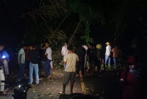 Pohon Beringin Tumbang Tutup Badan Jalan di Tapsel