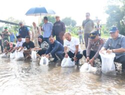 Dua Desa di Tapsel Terima Bantuan Benih Ikan Nila