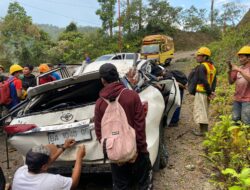 Pohon Tumbang Timpa Mobil di Areal PLTA Simarboru, 2 TKA Jadi Korban, 1 Tewas