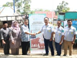 Berbagi Berkah Idul Adha, PT NSHE Distribusikan Enam Ekor Sapi Kurban di Tapsel