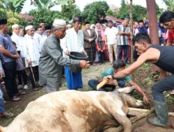 Bupati Tapsel dan Keluarga Rayakan Iduladha Bersama Warga Tanjung Dolok