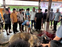 Yayasan Sinergi Cita Indonesia Salurkan Kurban Wakapolri di Padangsidimpuan