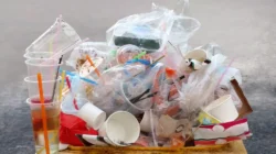 Pengunaan Plastik Tak Hanya Merusak Lingkungan, Tapi Juga Kesuburan Wanita