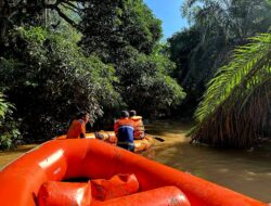 Derasnya Aliran  Sungai  Jadi Kendala Pencarian Bayi Hilang Asal Sidimpuan