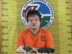 Tak Puas jadi Sopir Truk, Pria 30 Tahun Asal Sidimpuan Nyambi jadi Kurir Ganja