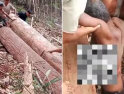 Lapor Pak Kapolri! Selama Sebulan, 2 Pekerja Kayu Tewas, Perambahan Hutan Diduga Marak di Tapsel