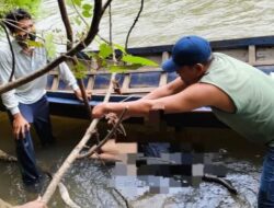 Jasad Peneliti asal Tapsel Ditemukan di Sungai Bilah, Paluta
