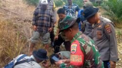 BKSDA Belum Bisa Pastikan Jenis Jejak Kaki Binatang Buas yang Ditemukan Warga Batang Bahal, Sidimpuan