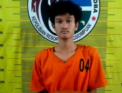 Nekat Bawa Ganja, Remaja Asal Tapsel ini Ditangkap di Sidimpuan