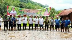 Wali Kota/Wakil Wali Sidimpuan Kompak Tanam Padi di Panyanggar