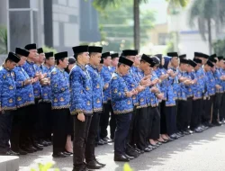 Mengenal PPPK Paruh Waktu, Status Baru Honorer Jadi ASN