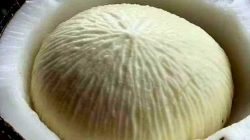 Umbut Kelapa Ternyata dapat Meningkatkan Kekebalan Tubuh