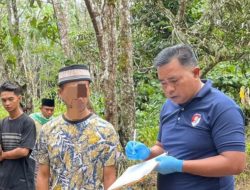 Polres Tapsel Tetapkan Ayah Tiri Terduga Pelaku Penganiayaan Anak Sambung Hingga Tewas, Tersangka